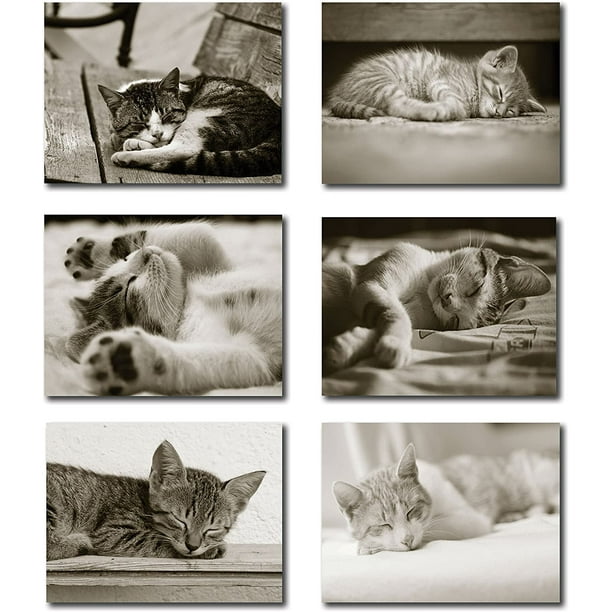 Notecard Kits Cat & Kittens Blank Inside - Birthday Die Cut Greeting Card